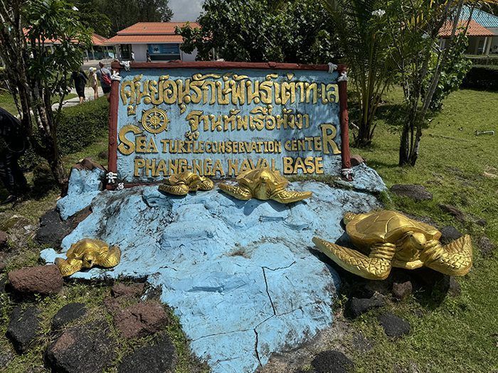 Sea Turtle Conservation Center Khao Lak