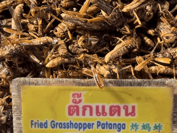 gastronomia tailandesa