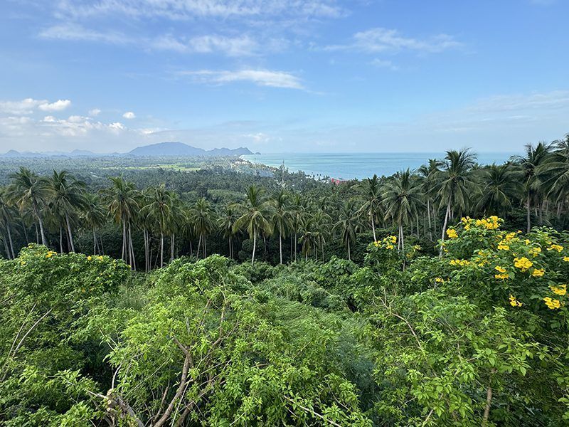 que hacer en Nakhon Si Thammarat
