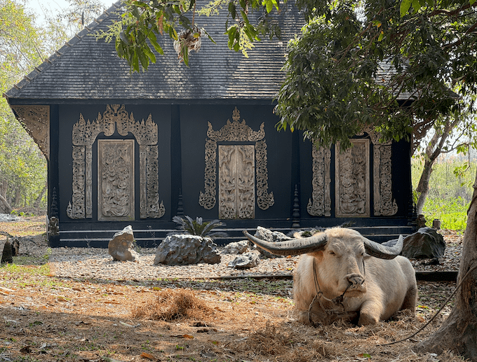 que ver en chiang rai en 2 días