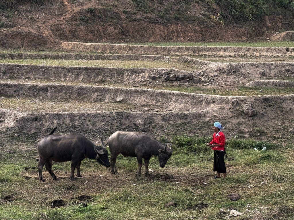 el-lado-oscuro-de-tailandia