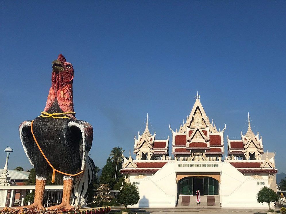 templo del pollo