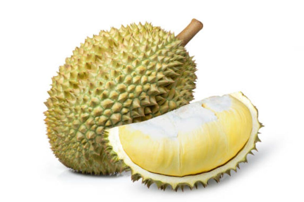 fruta durian 