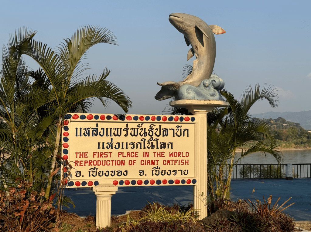 Frontera tailandia laos