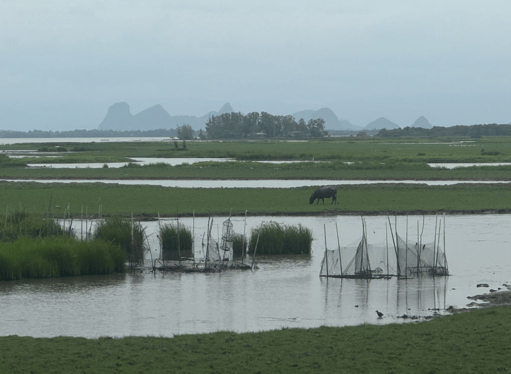 phatthalung thale noi